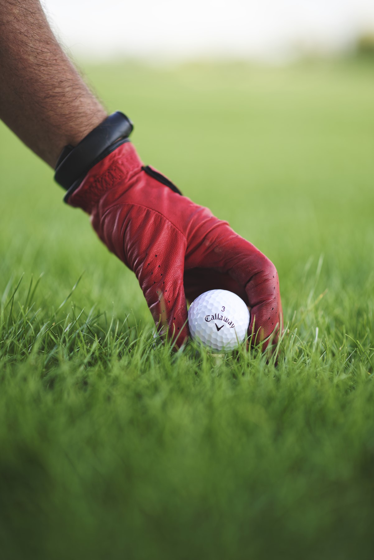 O MNIE 11 Dłoń w czerwonej skórzanej rękawiczce golfowej sięga po białą piłkę golfową marki Callaway leżącą w zielonej trawie. Na nadgarstku widoczna jest czarna opaska lub zegarek sportowy.