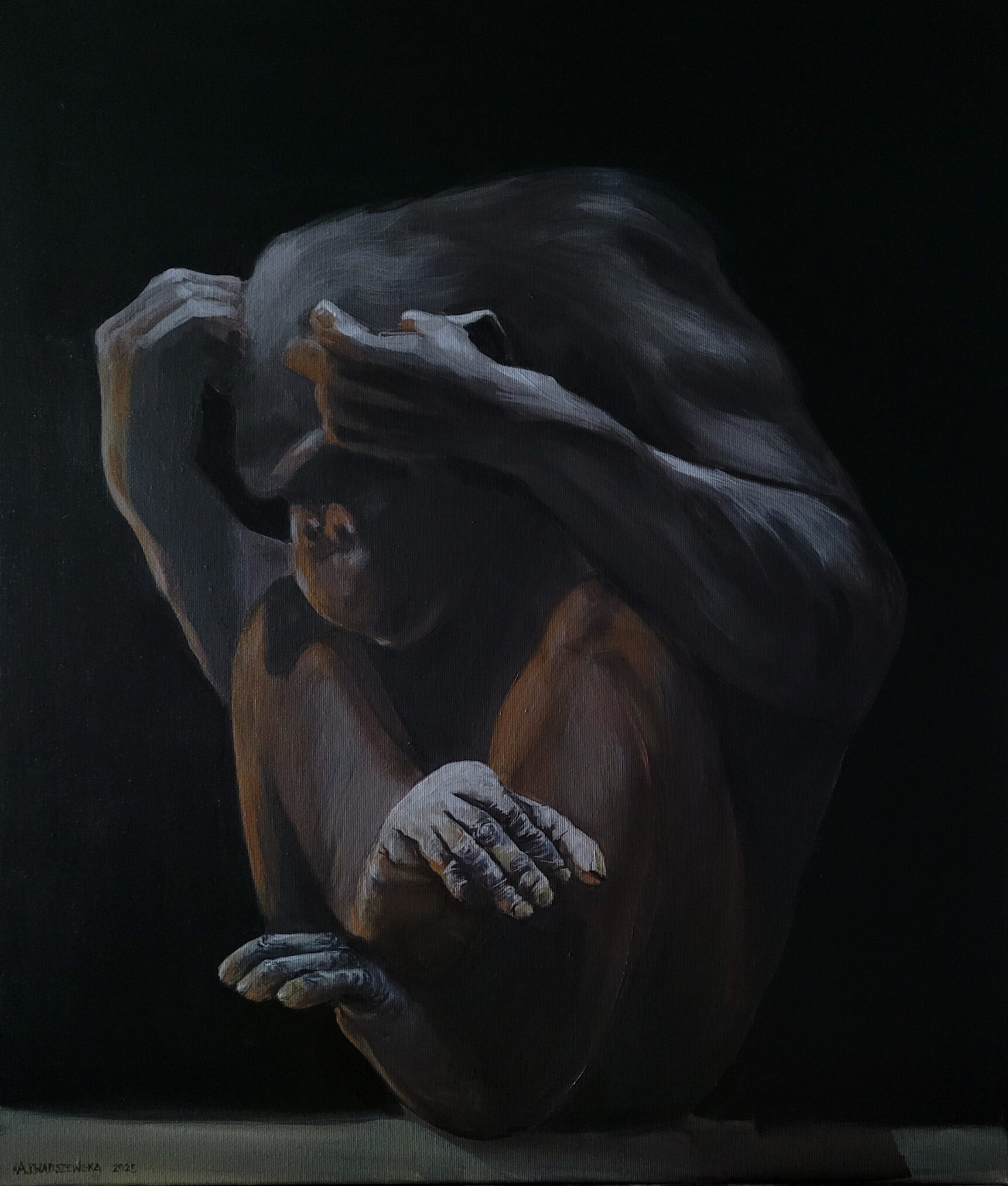 Siedzący małp o brązowej sierści na czarnym tle, z jedną ręką uniesioną nad głową, a drugą spoczywającą na nodze. Obraz wykonany jest w ciemnej kolorystyce z delikatnym oświetleniem podkreślającym sylwetkę zwierzęcia.