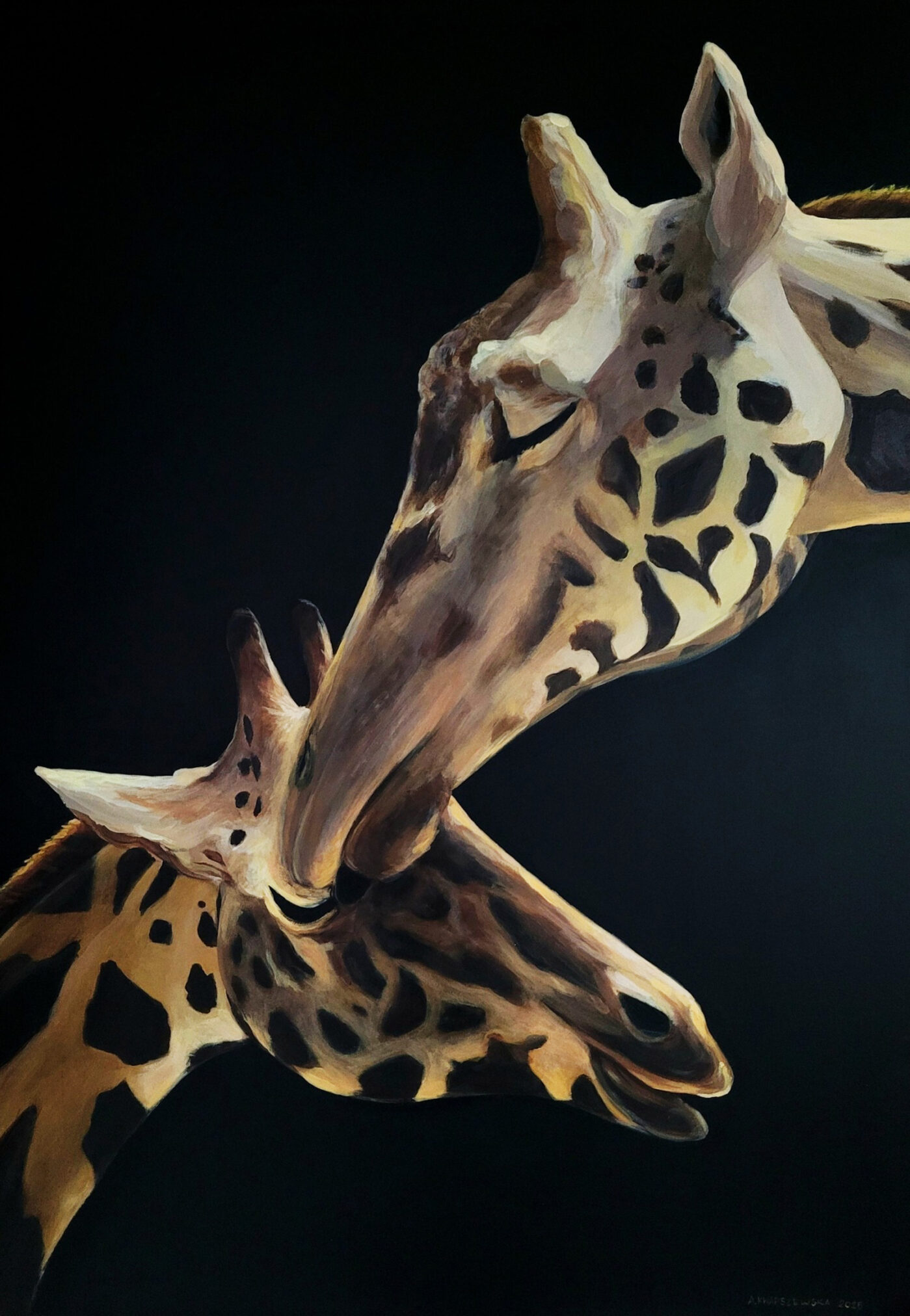 Dwie żyrafy na ciemnym tle - większa dorosła żyrafa delikatnie dotyka mniejszą, prawdopodobnie młode. Obraz wykonany w ciepłych, złocistych tonach podkreśla charakterystyczne cętki na sierści zwierząt.